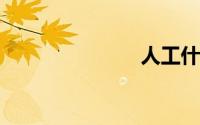 人工什么意思