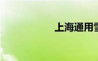 上海通用雪佛兰乐风