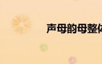 声母韵母整体认读音节表