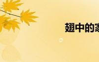 翅中的家常做法