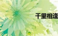 千里相逢打一字谜
