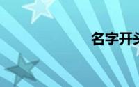 名字开头的成语