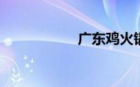 广东鸡火锅小料做法