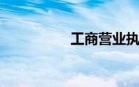 工商营业执照查询系统