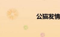 公猫发情了怎么办