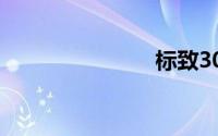 标致307论坛