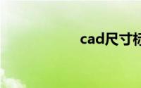 cad尺寸标注快捷键