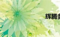 辉腾多少钱