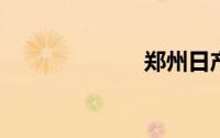 郑州日产帕拉丁