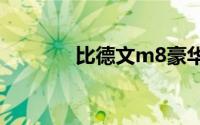 比德文m8豪华电动汽车报价
