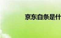 京东白条是什么意思安全吗