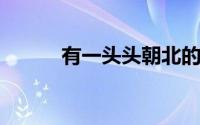 有一头头朝北的牛它向右转三三