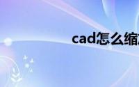cad怎么缩放界面大小