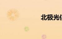北极光供应链网