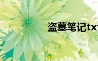 盗墓笔记txt全集百度云
