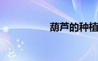 葫芦的种植方法和时间