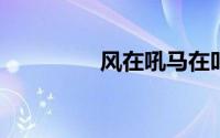 风在吼马在叫黄河在咆哮
