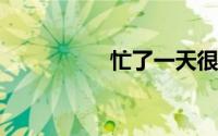 忙了一天很累晚安说说