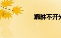 貔貅不开光也能认主