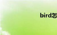 bird怎么读音