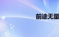 前途无量什么意思