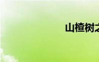 山楂树之恋音乐