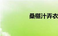 桑椹汁弄衣服上怎么办