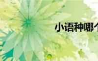 小语种哪个最有前途