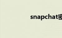 snapchat密码设置不了