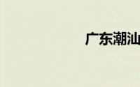 广东潮汕小吃大全