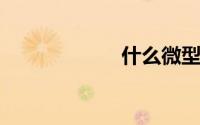 什么微型车最省油