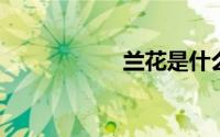 兰花是什么季节开的