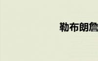 勒布朗詹姆斯的车