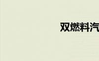 双燃料汽车有哪些