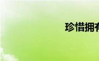 珍惜拥有的句子