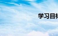 学习目标怎么写
