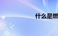 什么是燃油附加费