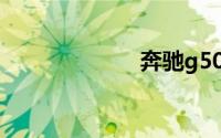 奔驰g500怎么样