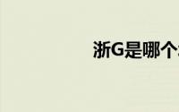 浙G是哪个城市的车牌