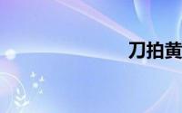 刀拍黄瓜做法