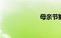 母亲节鲜花花束