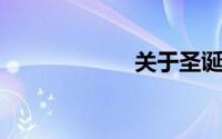 关于圣诞节的单词