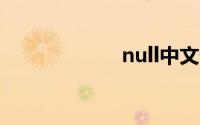 null中文什么意思