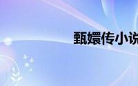 甄嬛传小说txt百度云