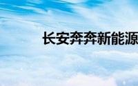 长安奔奔新能源E-STAR2022款
