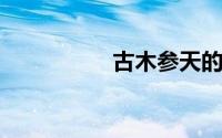 古木参天的意思是什么