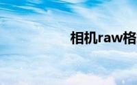 相机raw格式怎么设置