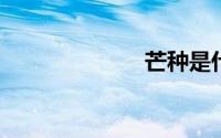 芒种是什么意思