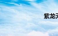 紫龙天布袋