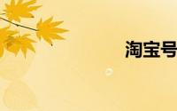 淘宝号是什么